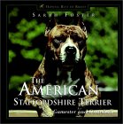 The American Staffordshire Terrier
