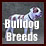 Bulldog breeds