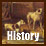 History and Origins of the Bulldog