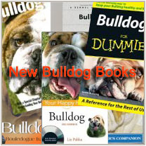 New Bulldog Books