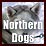 Northern dogs
