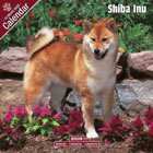 Shiba Calendar 2009