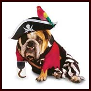 zelda-pirate-dog-costume-4.jpg